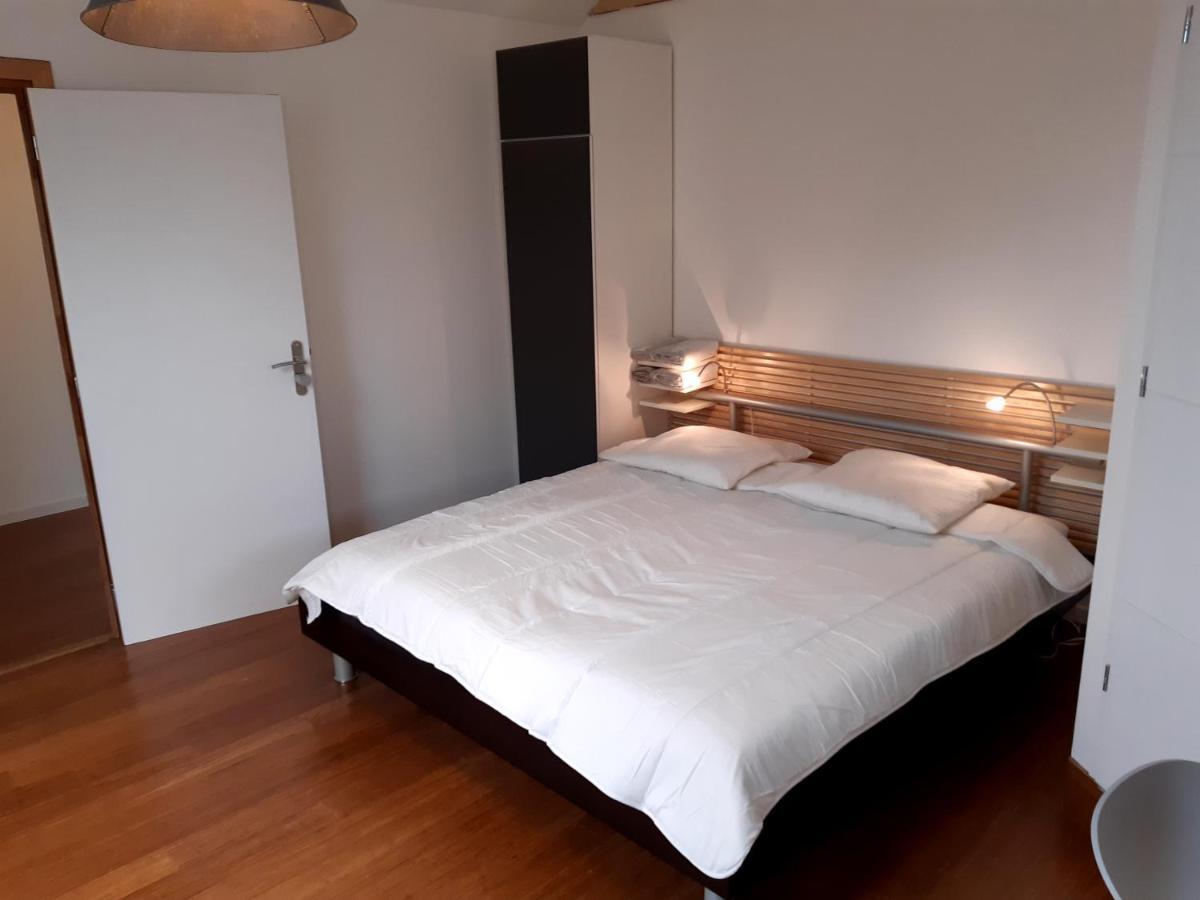 Loft Studio Avec Charme Et Authenticite Altkirch Exterior photo